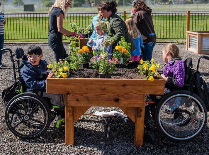 How To Set Up A Wheelchair Accessible Garden